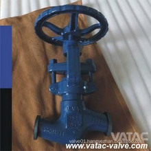 Forged Steel Pressure Sealed Bonnet Globe Valve